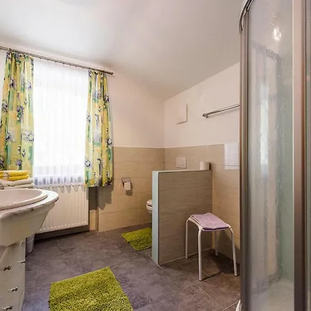 Holiday Flat Hollersbach *